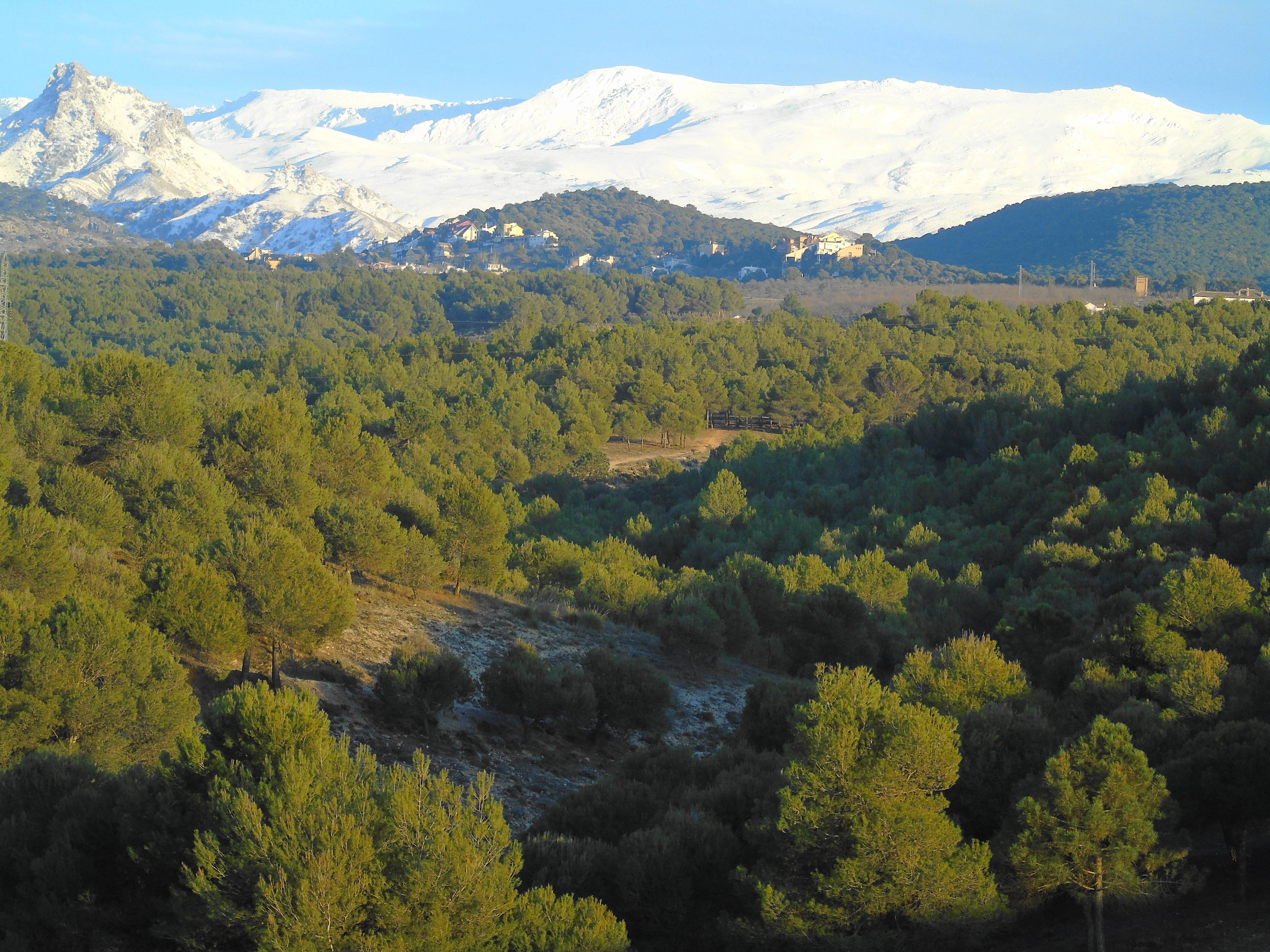 View of the locality where we are, from the town of La Zubia, 4 km away